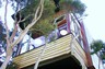 Outside of our Tree House accommodations at Hapuku Lodge, in Kaikoura, NZ, on South Island.
