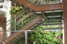 Biowall, LEED Certified Building, 14 Maple Street, Morristown, New Jersey