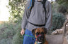 Chico and I hiking in the Arboretum.