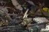 This clip features Paul J. Hedlund dicussing the crash of an AvJet aircraft that crashed on its final 
approach in Aspen