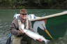Smith River steelhead