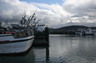 Down in the harbor near the office.