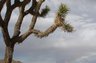 I love photography and enjoy practicing throughout Southern California taking in the natural beauty from the coast to the mountains and desert.  I am also comitted to preserving much of California's incredible natural treasures.