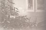 Tucson Conservatorship Attorney- The Wood Law Firm PLLC of Tucson, Arizona provides timely and reasonable conservatorship legal services.  Contact the Wood Law Firm PLLC today at 520-797-1011.