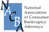NACBA member since 2006 (currently SC state chair)