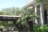 My office at the Naylor House at 1919 San Pedro Ave. at the intersection of San Pedro and Woodlawn Ave.
