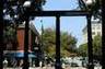 The UGA Arch looking northbound down College Avenue.  Mr. Head was enrolled at UGA from 1969 to 1976, completing two degrees (BA in History and Juris Doctor in Law) at Athens, GA.