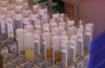 Vials of urine or diluted blood ready for testing.  Bar code stickers are affixed, but the wand scanner attached to the computer is not always used to track these vials as they move through the testing process.  Opportunity for error exists.