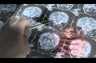 Workers Compensation Video