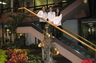 Irani & Wise staff
