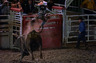 Just as in the business world, not every ride ends the way were hoping.  But we try to get everyone back on top again.

This bull rider undergoes astronaut training at the 2010 Clovis Rodeo in Clovis, California.