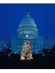 Robert Gray Bracknell