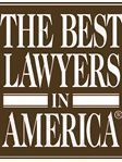 Dallas County Environmental Lawyer Michael Edward Schmidt