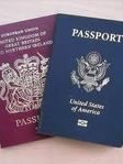 New York County Immigration Lawyer Mark Ivan Davies