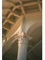Chicago Employment / Labor Attorney James R. Dashiell