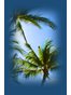 Broward County Aviation Lawyer Tanya Lynn Bower