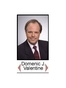 Matlacha Criminal Defense Attorney Domenic James Valentine