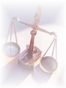 Leon County Civil Rights Attorney William Peter Martin