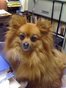 Ellicott Child Custody Lawyer Judith Marie Keppen