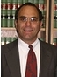 Lincoln Park Litigation Lawyer Michael S Rubin
