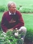 Alloway  Lawyer G P Lewis