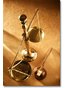 Tracyton Employment / Labor Attorney Diane Frances Russell