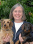 Asheville Social Security Lawyers Cynthia A. Strom