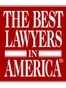 Fairfax Business Attorney David Morris Levy