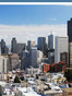 San Jose Securities / Investment Fraud Attorney Michael Brooks Carroll