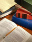Palm Beach County Constitutional Law Attorney Robert L. Brody