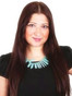 Pensacola Car / Auto Accident Lawyer Asma Anwar