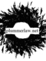 Sacramento Juvenile Law Attorney Wraymond Keith Plummer
