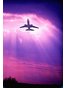 Arlington Aviation Lawyer Gerard R Lear