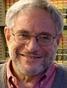 Ray Beckerman Corona Internet Lawyer Ray Beckerman