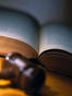 East Elmhurst Probate Attorney Alan Edward Rabunski