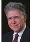 New York Limited Liability Company (LLC) Lawyer Michael Geoffrey Yamin