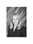 Phyllis D. Sims